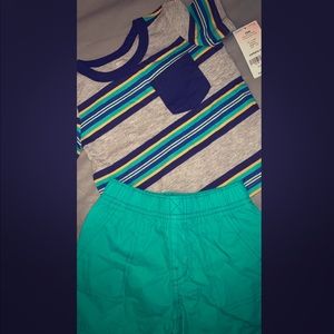 Carters Size 12 mos Boys short set